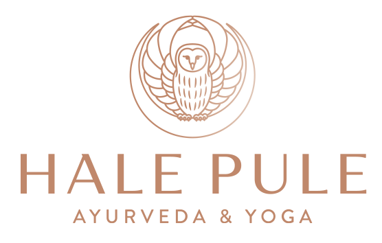 Hale Pule LLC
